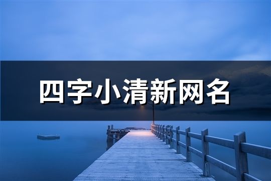 四字小清新網名(共919個)