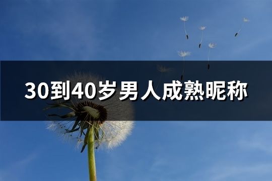 30到40歲男人成熟昵稱(精選43個(gè))
