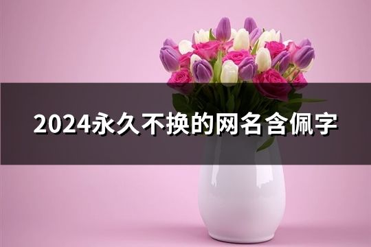 2024永久不換的網名含佩字(精選46個)