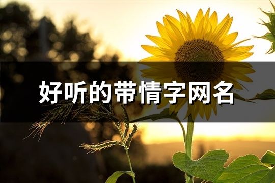 好聽的帶情字網名(共238個)