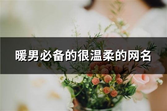 暖男必備的很溫柔的網名(283個)