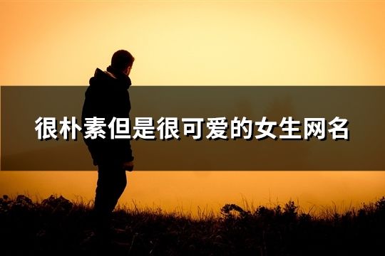 很樸素但是很可愛的女生網(wǎng)名(485個(gè))
