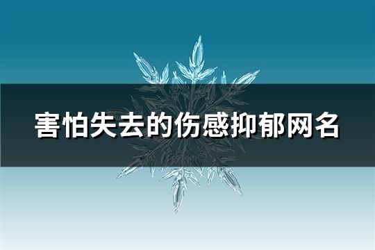 害怕失去的傷感抑郁網名(533個)