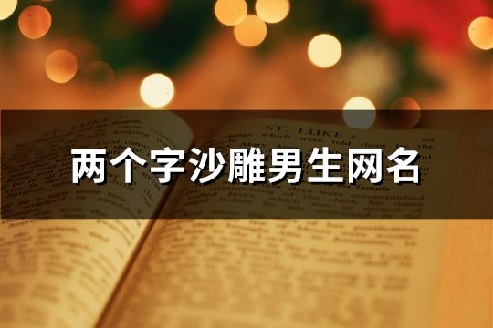 兩個字沙雕男生網名(精選1269個)