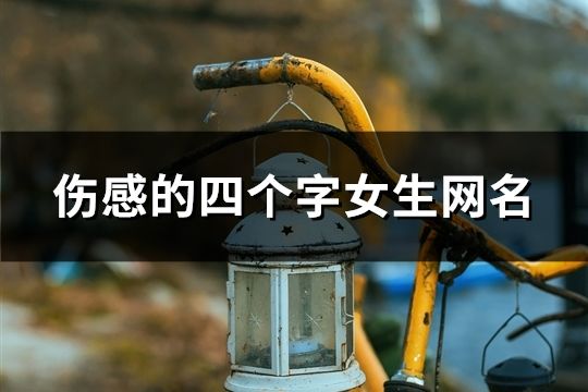 傷感的四個字女生網名(513個)