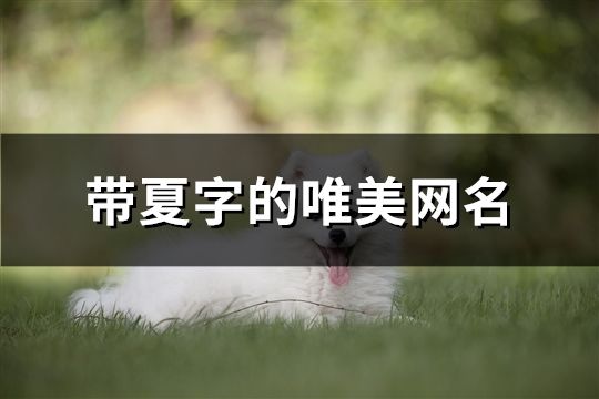帶夏字的唯美網(wǎng)名(精選236個(gè))