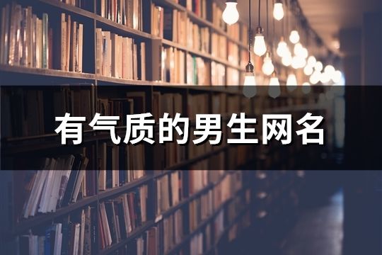 有氣質(zhì)的男生網(wǎng)名(403個)