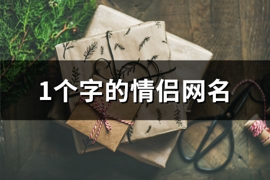 1個字的情侶網(wǎng)名(289個)