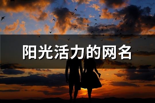 陽光活力的網(wǎng)名(共313個)