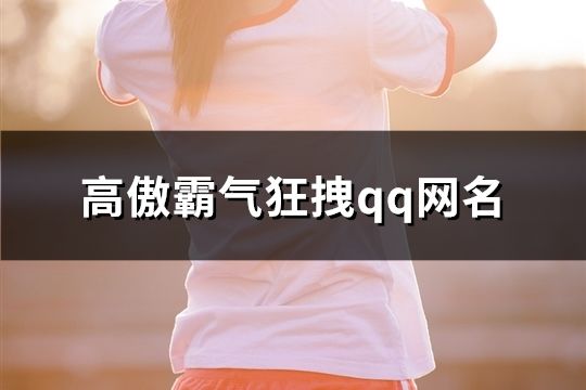 高傲霸氣狂拽qq網名(精選342個)