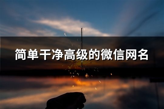 簡(jiǎn)單干凈高級(jí)的微信網(wǎng)名(共30個(gè))