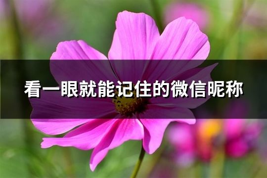 看一眼就能記住的微信昵稱(33個) 看一眼就能記住的微信昵稱(33個)