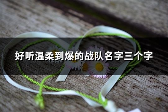好聽溫柔到爆的戰隊名字三個字(精選50個)