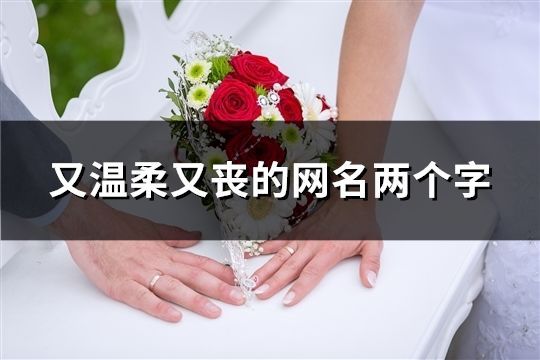 又溫柔又喪的網名兩個字(共46個)