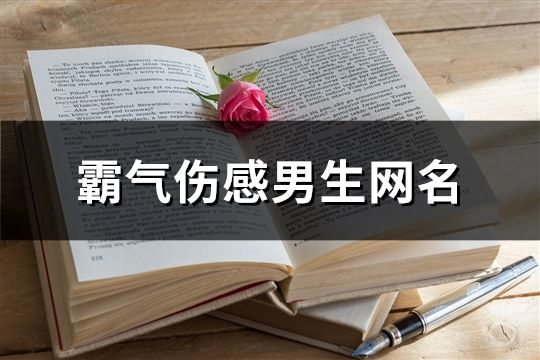 霸氣傷感男生網(wǎng)名(共585個)