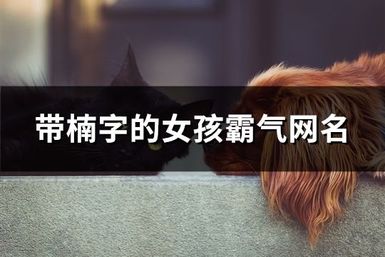 帶楠字的女孩霸氣網名(61個)