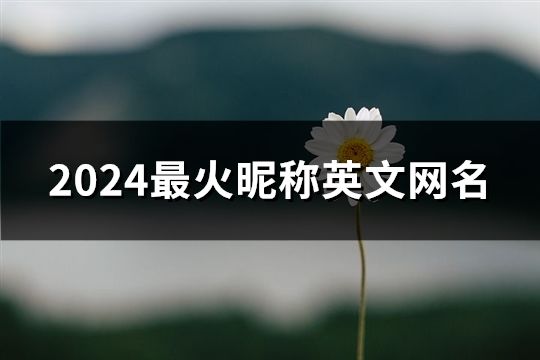 2024最火昵稱英文網(wǎng)名(443個(gè))