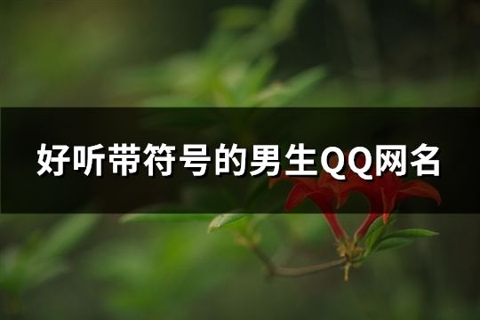 好聽帶符號的男生QQ網(wǎng)名(精選394個)