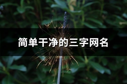 簡單干凈的三字網名(精選2471個)
