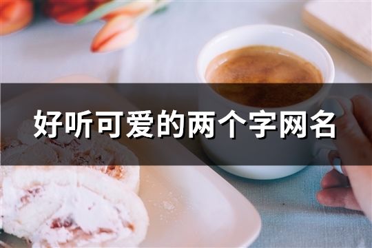 好聽可愛的兩個字網(wǎng)名(1225個)