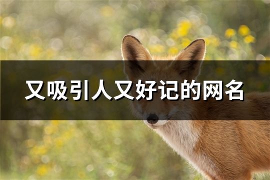 又吸引人又好記的網(wǎng)名(精選41個(gè))