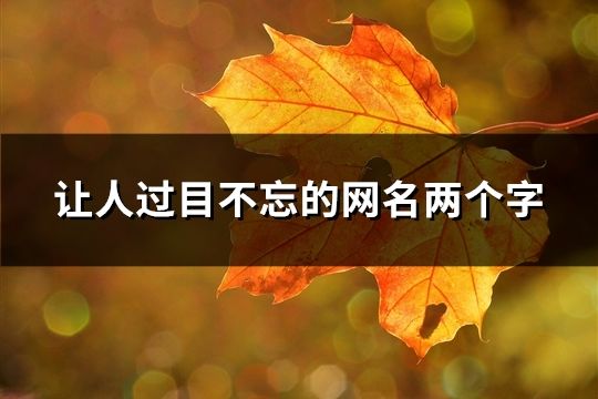 讓人過(guò)目不忘的網(wǎng)名兩個(gè)字(共40個(gè))