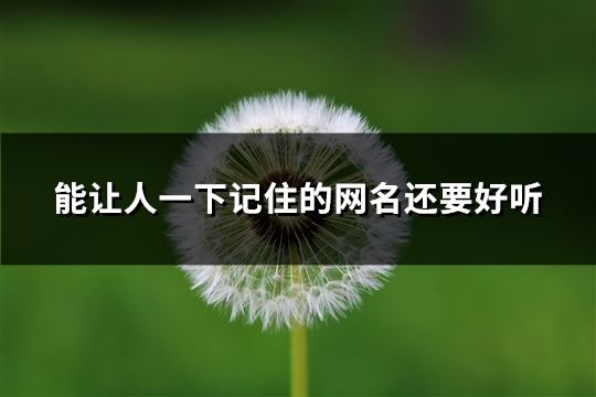 能讓人一下記住的網(wǎng)名還要好聽(tīng)(36個(gè))