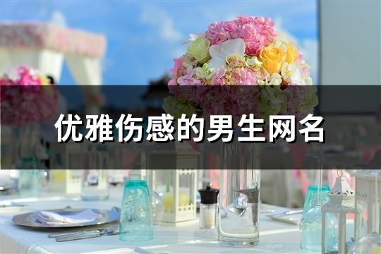 優雅傷感的男生網名(858個)