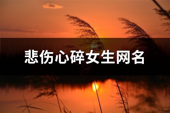 悲傷心碎女生網(wǎng)名(共558個(gè))
