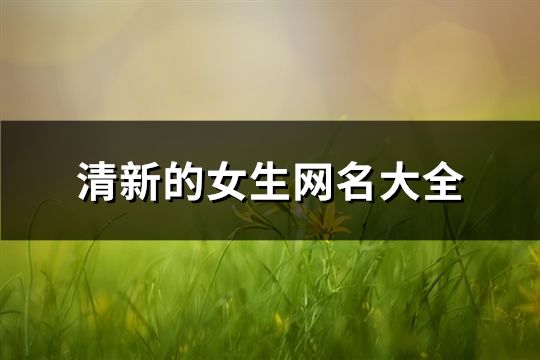 清新的女生網名大全(精選646個)