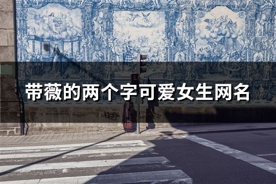 帶薇的兩個(gè)字可愛(ài)女生網(wǎng)名(共18個(gè))
