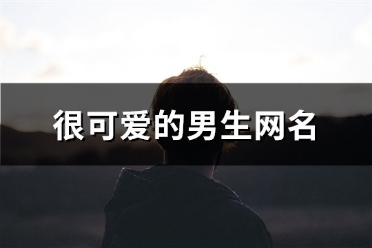 很可愛的男生網(wǎng)名(精選385個)