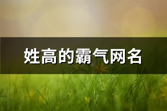 姓高的霸氣網名(精選206個)