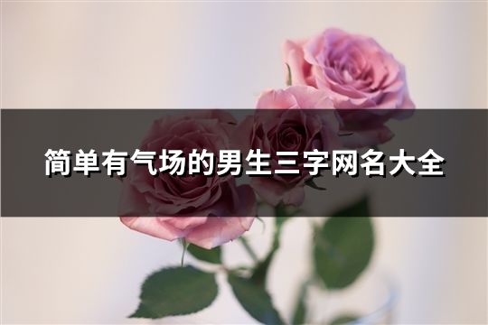 簡單有氣場的男生三字網名大全(精選40個) 簡單有氣場的男生三字網名大全(精選40個)