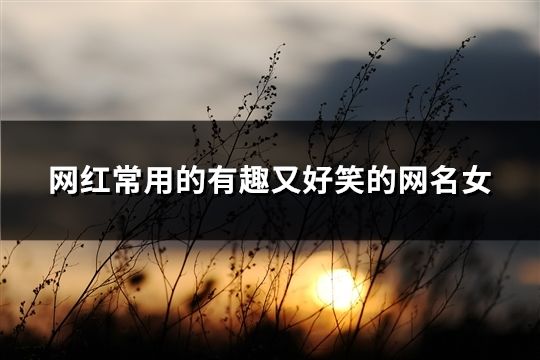 網(wǎng)紅常用的有趣又好笑的網(wǎng)名女(共48個)