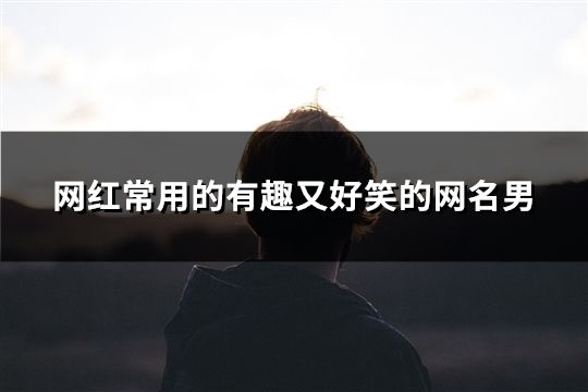網紅常用的有趣又好笑的網名男(精選38個)