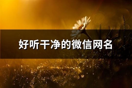 好聽(tīng)干凈的微信網(wǎng)名(精選50個(gè))