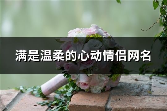 滿是溫柔的心動情侶網名(37個)
