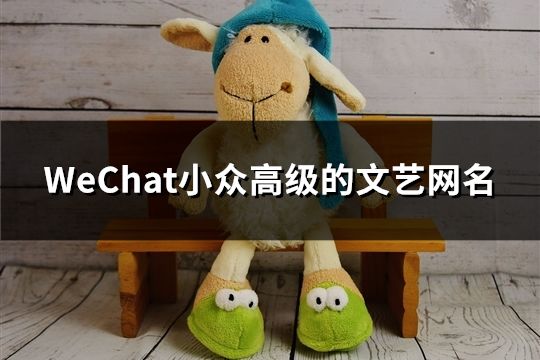 WeChat小眾高級(jí)的文藝網(wǎng)名(精選32個(gè))