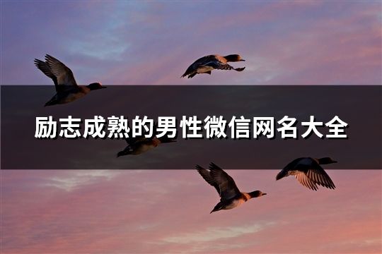 勵志成熟的男性微信網名大全(精選48個)