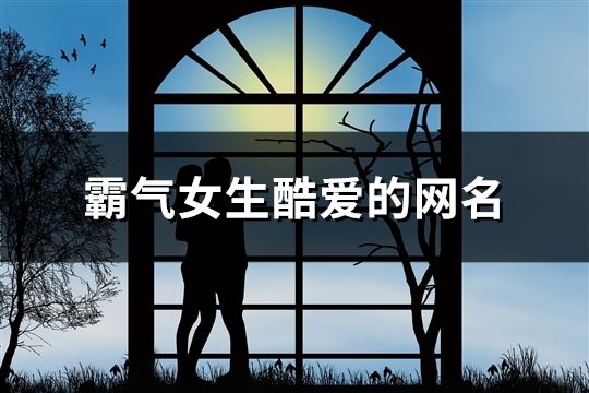 霸氣女生酷愛的網名(564個)