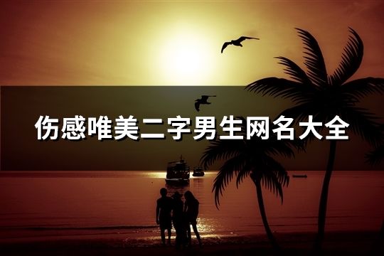 傷感唯美二字男生網名大全(精選1282個)