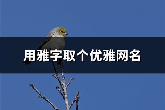 用雅字取個優雅網名(精選128個)