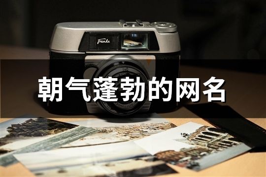 朝氣蓬勃的網名(共323個)