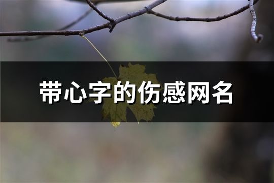 帶心字的傷感網名(共328個)