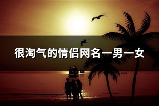 很淘氣的情侶網名一男一女(精選37對)