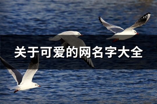關于可愛的網名字大全(952個)