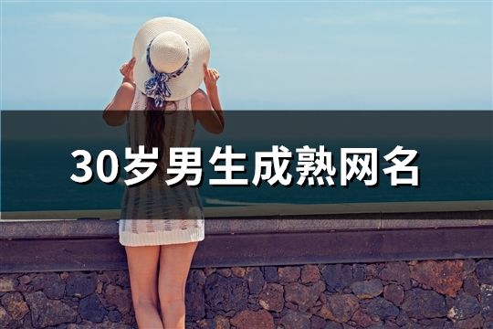 30歲男生成熟網(wǎng)名(精選393個)