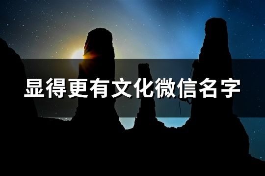 顯得更有文化微信名字(精選56個)