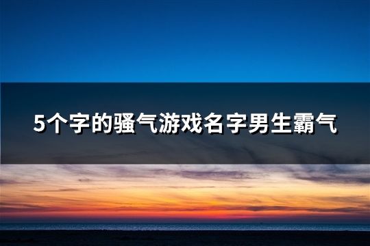 5個字的騷氣游戲名字男生霸氣(60個)
